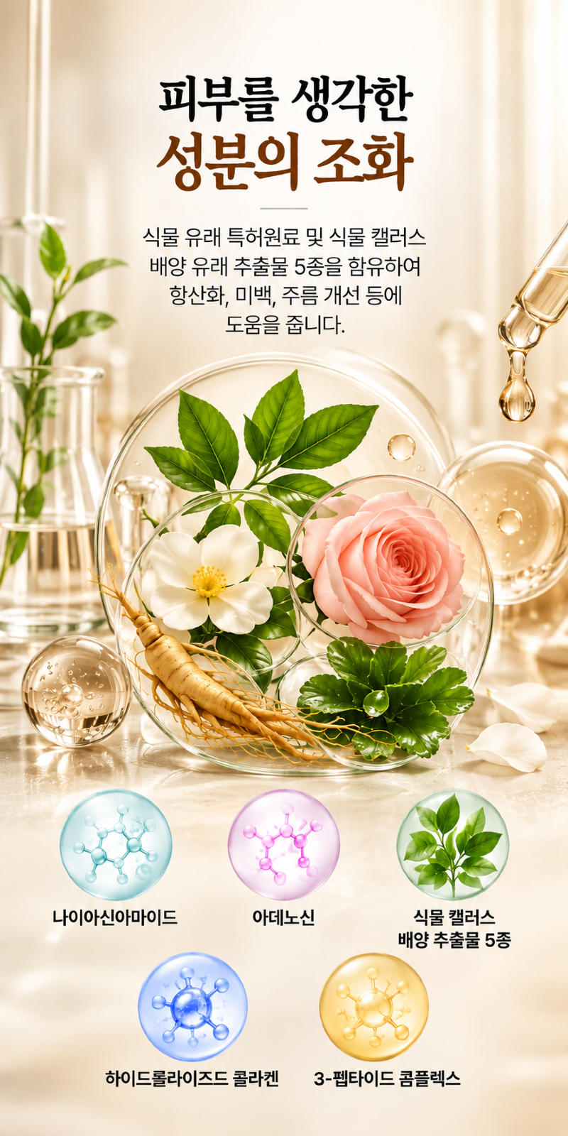 셀라인 마스크팩의 식물 캘러스 배양 추출물과 주요 성분을 설명하는 본사 자료